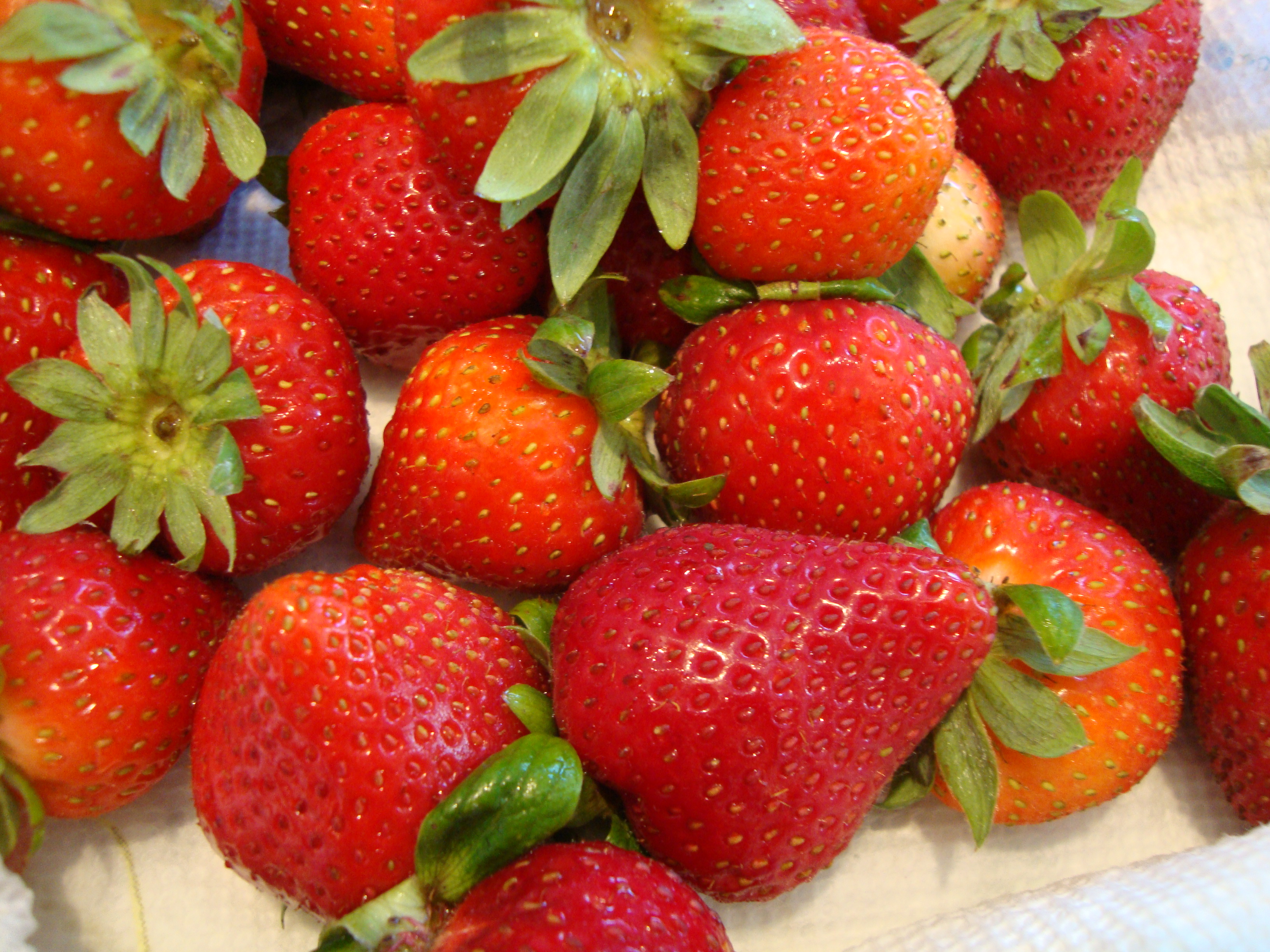 Straberry Raspberry STRAWBERRIES IN RASPBERRY SAUCE | Somebody's Mom